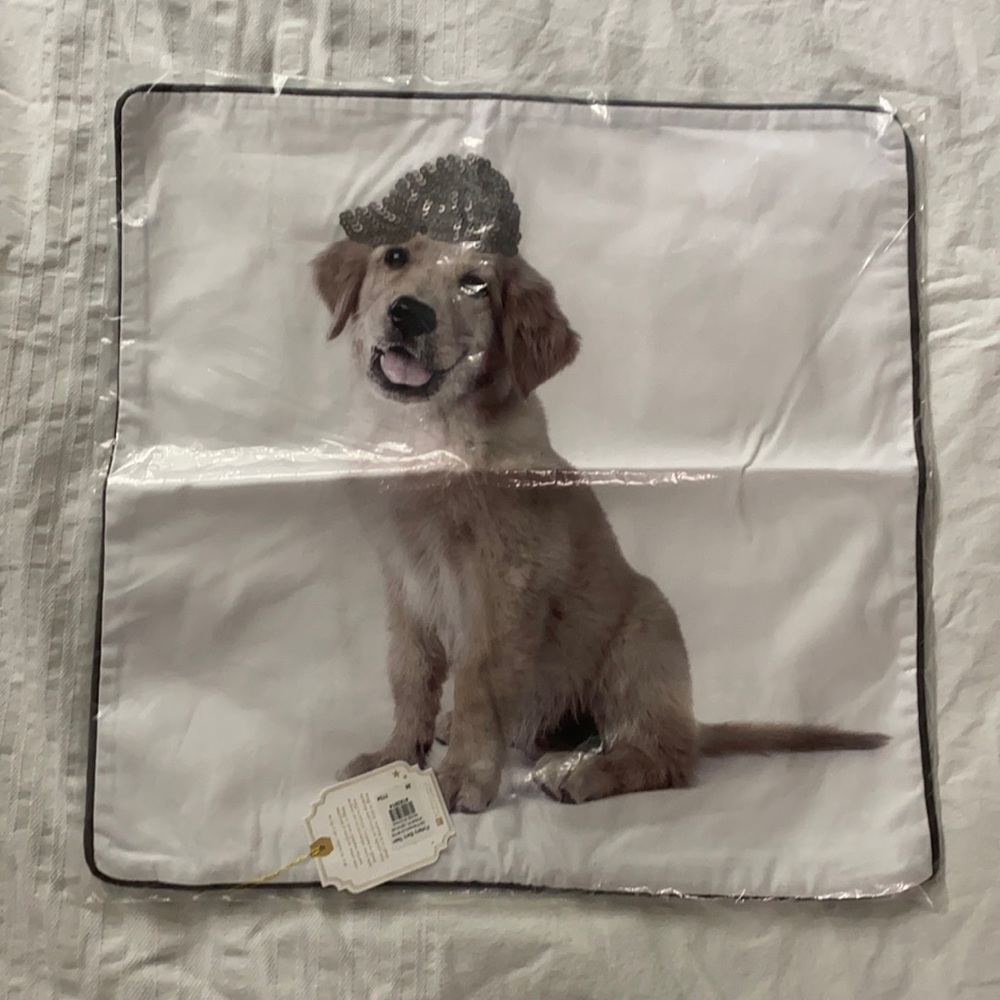 Pottery Barn Teen 18”x18” pillow sham -party dog